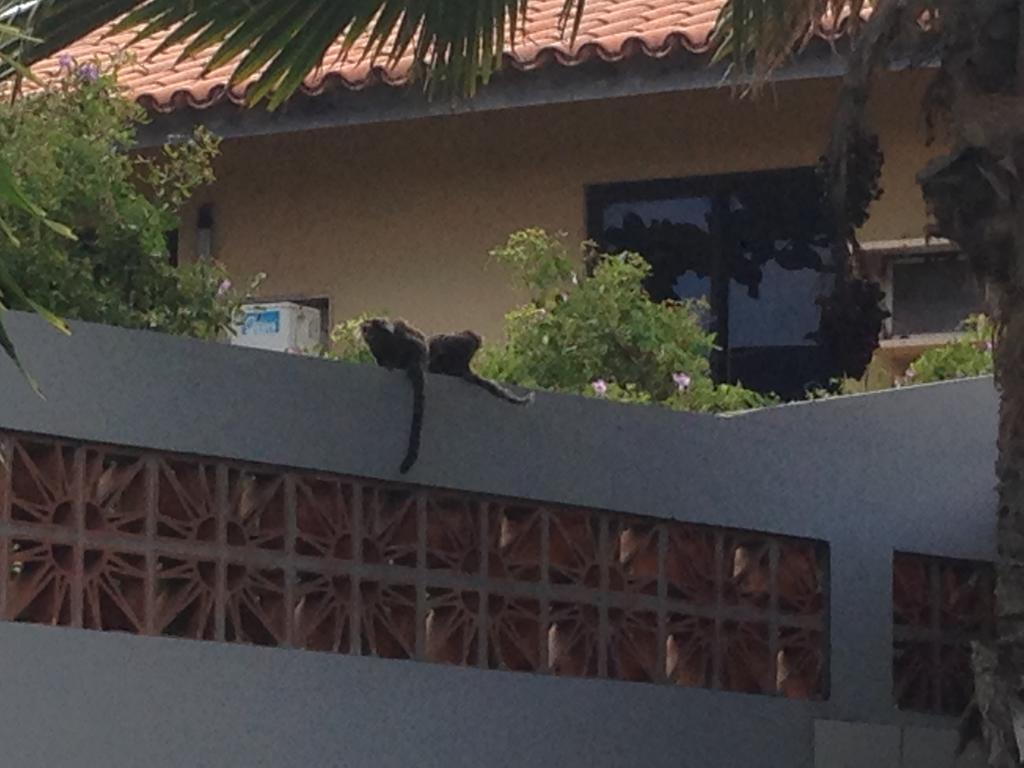 B&B Villa Borromeo Salvador Exterior foto